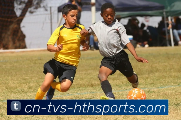 华体会hth服务体系